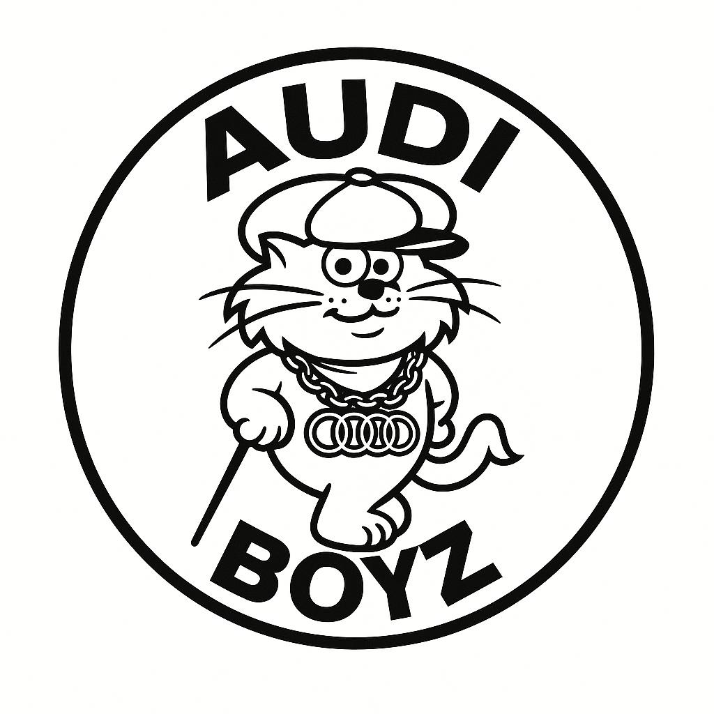 Audi Boyz